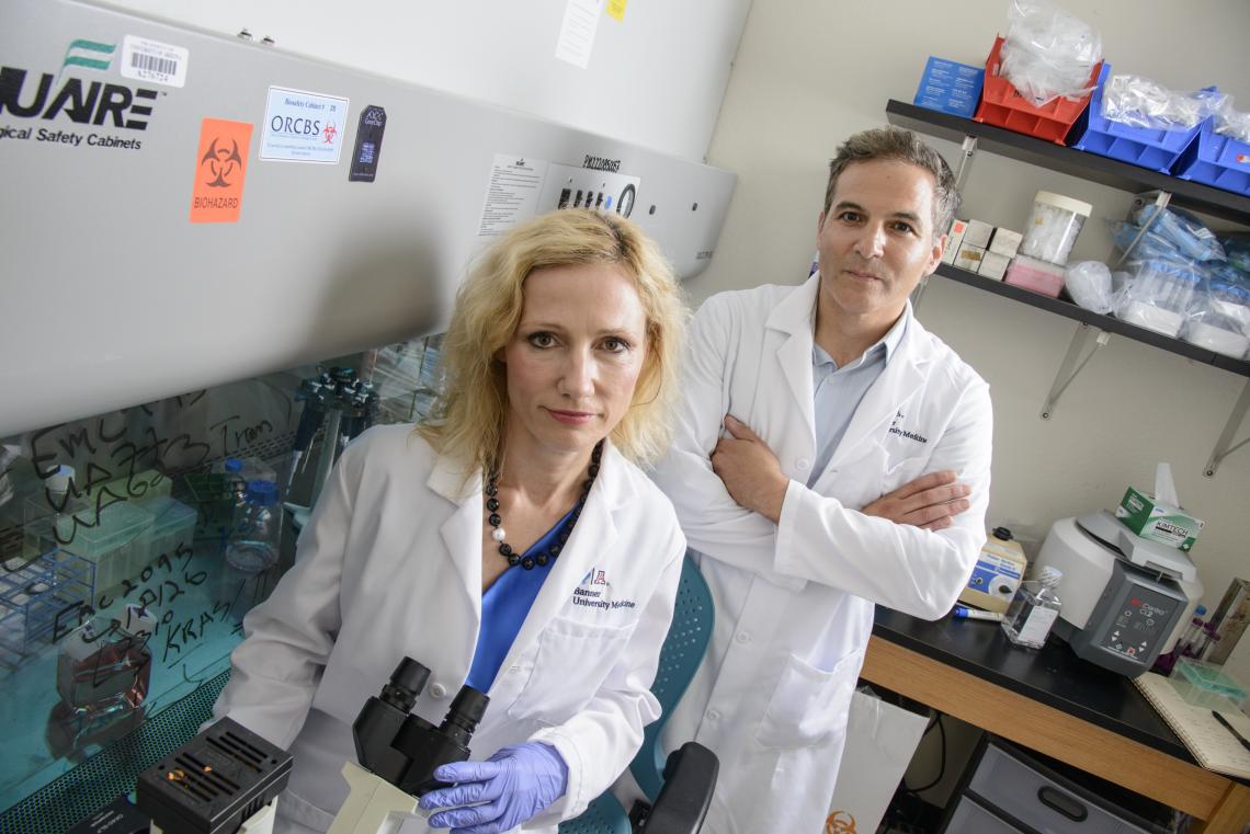 Agnieszka Witkiewicz and Erik Knudsen investigate tumors on the molecular level in hopes of opening up new approaches to more effective treatment. Agnieszka Witkiewicz and Erik Knudsen investigate tumors on the molecular level in hopes of opening up new approaches to more effective treatment.